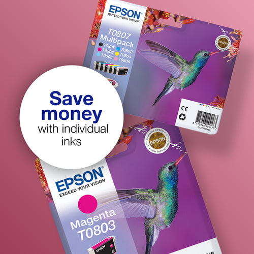 Epson Hummingbird T0805 ink cartridge