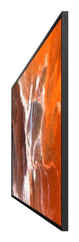 Sony BZ30P