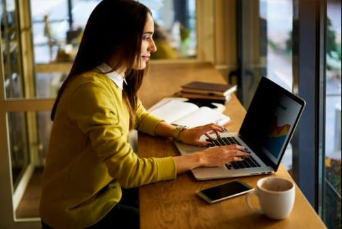 3M BP133W1E display privacy filter