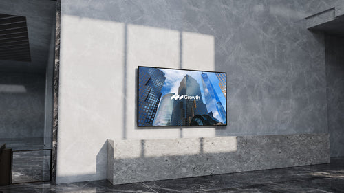 Sony BZ30P
