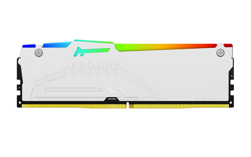 Kingston Technology FURY Beast RGB memory module