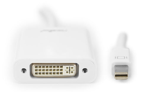 Rocstor 0,15m, Mini DisplayPort/DVI