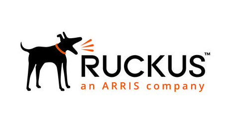 RUCKUS Networks S04-VSZD-1LDH software license/upgrade