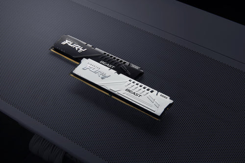 Kingston Technology FURY Beast memory module