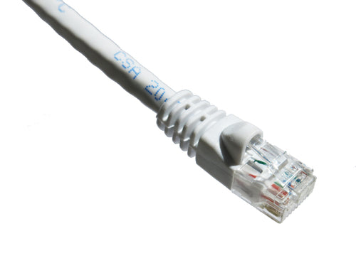 Cat6a Networking Cable 1ft U/UTP RJ-45 White Axiom