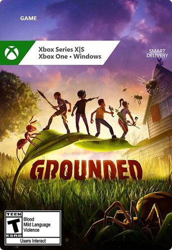 Microsoft Grounded