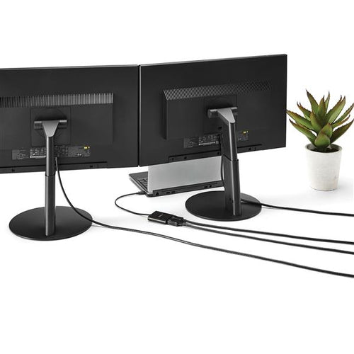 StarTech.com MSTCDP122DP USB graphics adapter