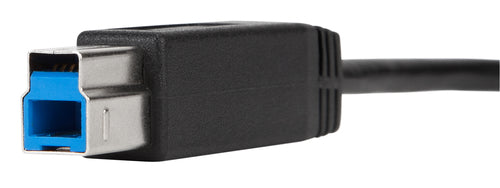 Targus ACC924USX USB-Kabel – 1m USB C auf USB B, USB 3.2 Gen 1 – Zuverlässige Datenübertragung