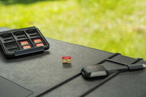 SanDisk Extreme GO