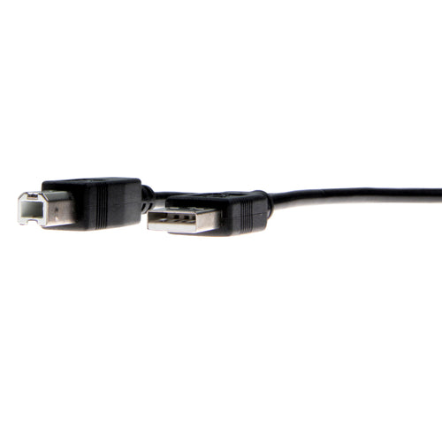 Rocstor Y10C116-B1 USB cable