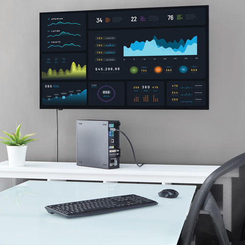 StarTech.com DP2DVIMM6 video cable adapter