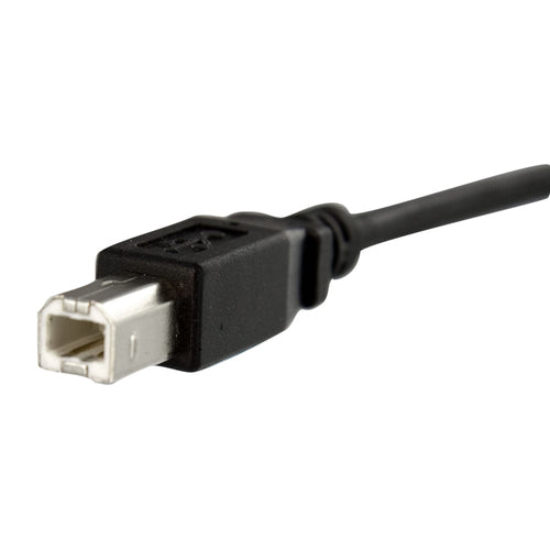 StarTech 0,3 m USB B auf B Kabel für Panelmontage - F/M, USB 2.0, Schwarz