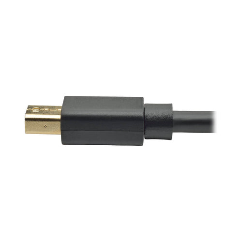 Tripp Lite P583-006-BK DisplayPort cable