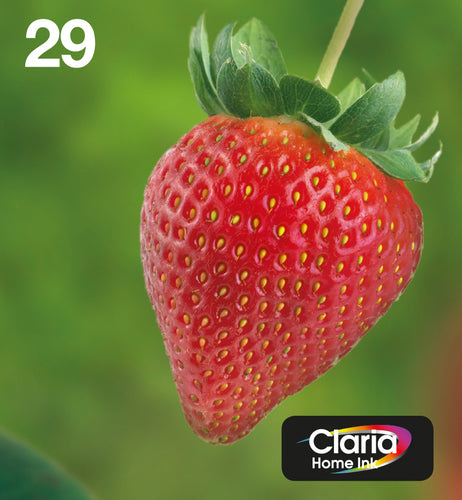 Epson Strawberry C13T29864511 ink cartridge