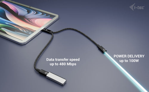 i-tec C31DUALSPLITTERCBLPD USB cable