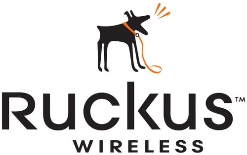 RUCKUS Networks Warranty Support Extension 1 License 3 Year