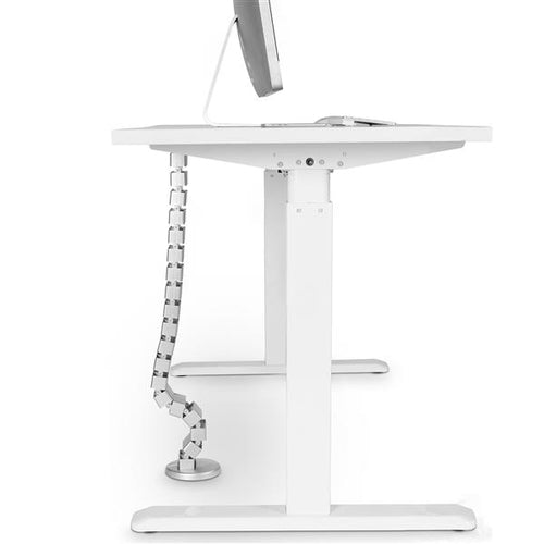 Cable Management Spine StarTech.com Organizer Plastic Steel Silver