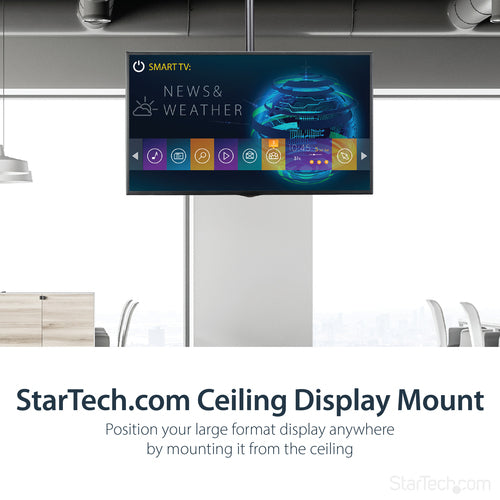 StarTech.com FPCEILPTBLP Deckenhalterung für Bildschirme (32"-75") - Volle Beweglichkeit - Verstellbare VESA-Halterung