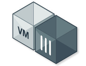 Fortinet FG-VM32V security software