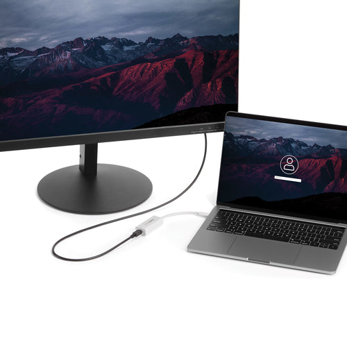 StarTech.com CDP2MDP USB graphics adapter