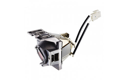 Viewsonic RLC-117 Projektorlampe