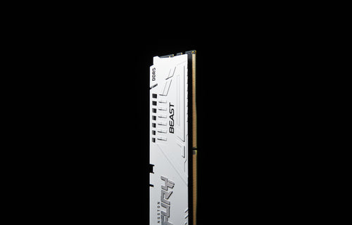 Kingston Technology FURY Beast memory module