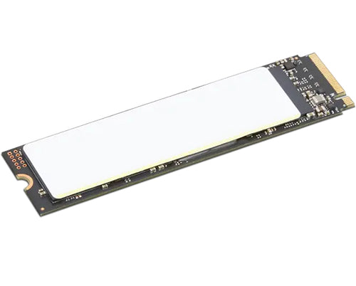 Lenovo 4XB1N36075 1TB M.2 Interne Solid-State-Festplatte – SSD