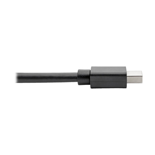Tripp Lite P139-06N-DP4K6B DisplayPort cable