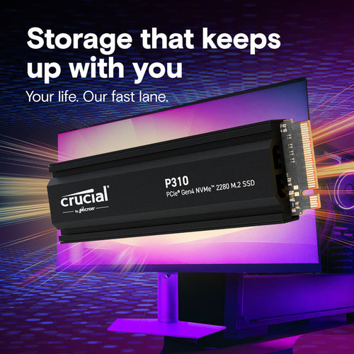 Crucial P310