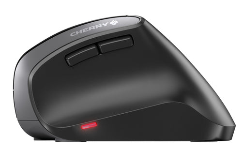 CHERRY MW 4500 mouse
