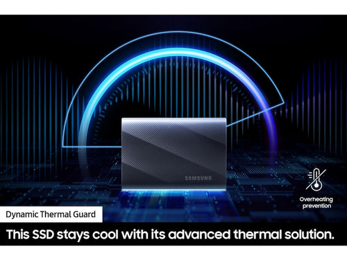 Samsung MU-PG2T0B Tragbare SSD 2TB - Externe USB Type-C Festplatte
