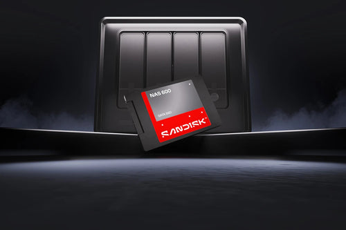 SanDisk NAS 600