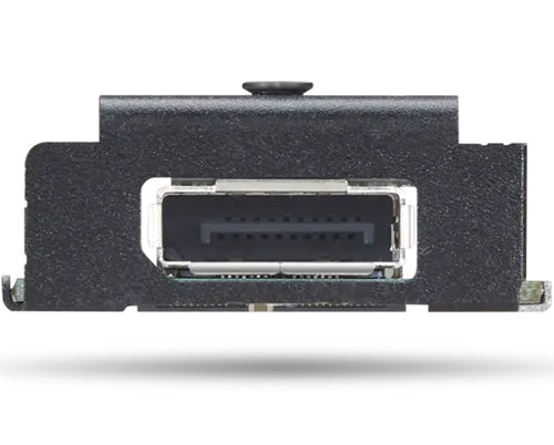 DisplayPort Male Interface Card Adapter Grün Lenovo 4XH1K25075