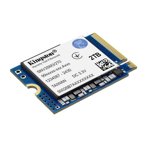 Kingston Technology NV3