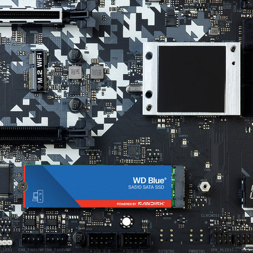 SanDisk Blue WD SA510
