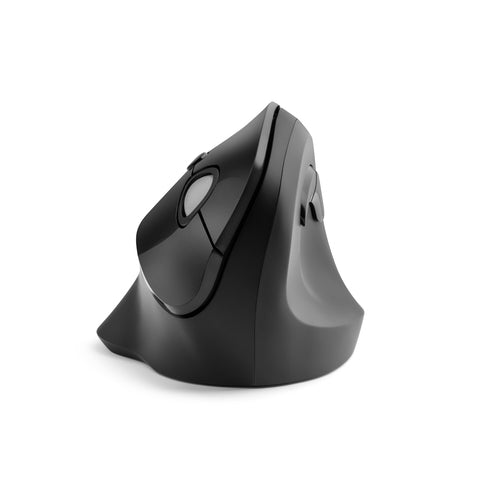 Kensington Pro Fit mouse