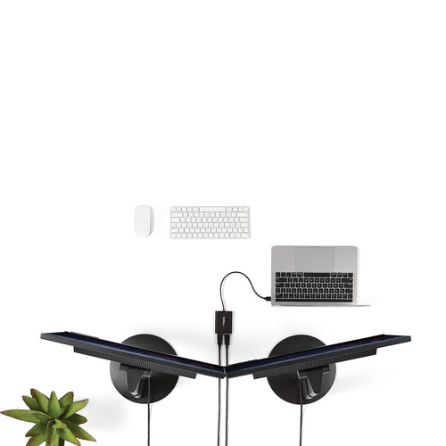 StarTech.com USB32DP24K60 USB graphics adapter