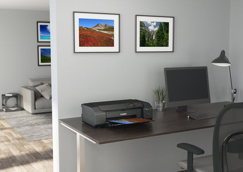 Canon PIXMA PRO-200s photo printer