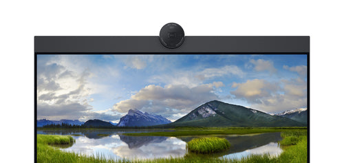 23.8 Inch Full HD LCD Monitor DELL P2424HEB 1920x1080 IPS Display