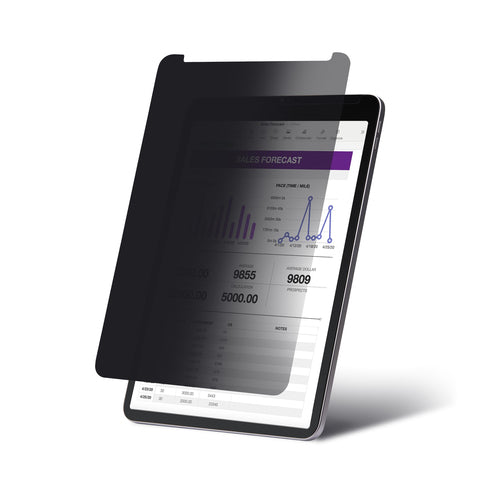 11 Inch Privacy Screen Filter for iPad Pro Anti-Glare Touch-Enabled
