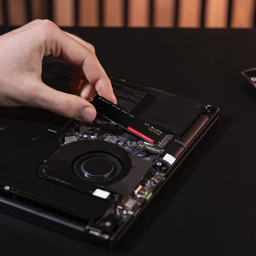 SanDisk Black WD_BLACK SN7100 NVMe