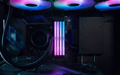 Kingston Technology FURY Renegade RGB memory module