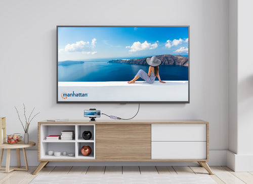 Manhattan 190299 laptop dock/port replicator
