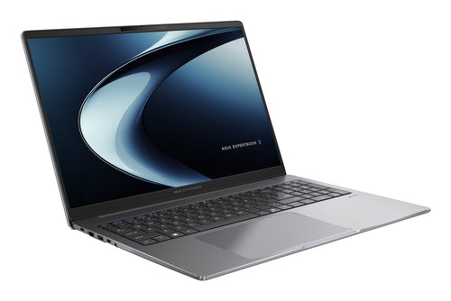 ASUS ExpertBook P3 PM3606CKA-XS54