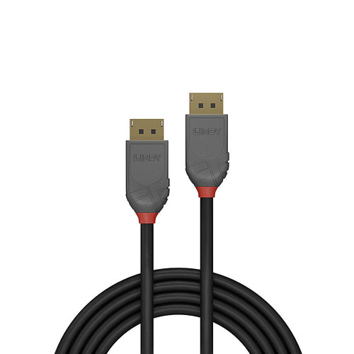 Lindy 36482 DisplayPort cable