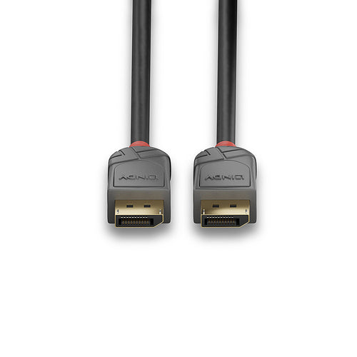 Lindy 36480 DisplayPort cable