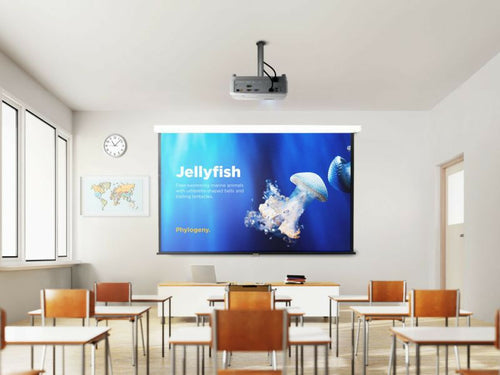 Viewsonic PA504W data projector