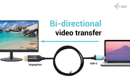 i-tec C31CBLDP8KBIDIR video cable adapter