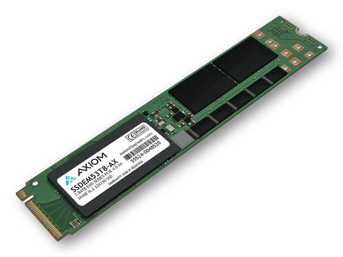 Axiom 3.84TB Memory Module 100-Pin DIMM