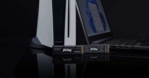 Kingston Technology FURY Renegade